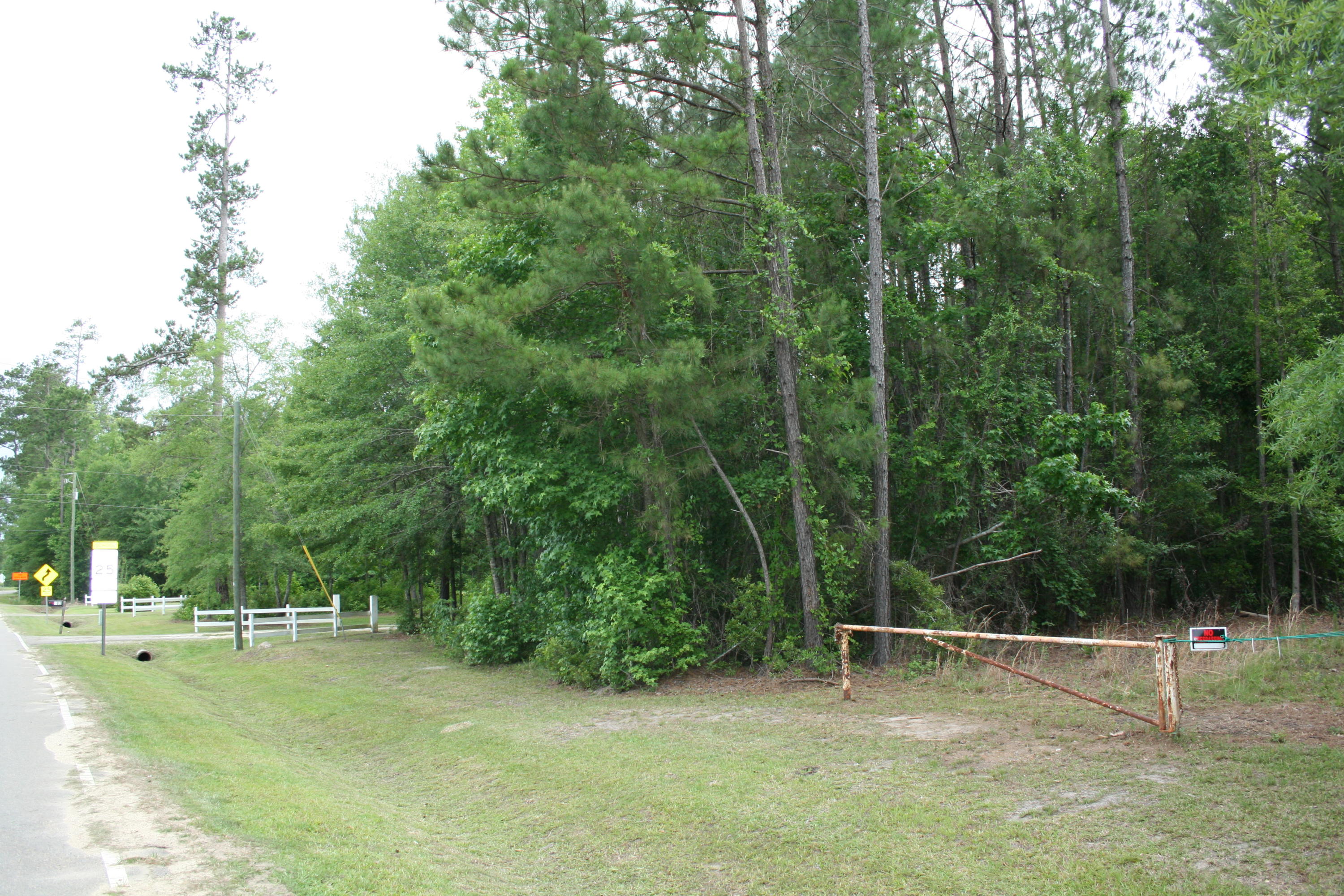 783 Peirce Road Cottageville, SC 29435 - Photo 7 of 24 IMG_0083