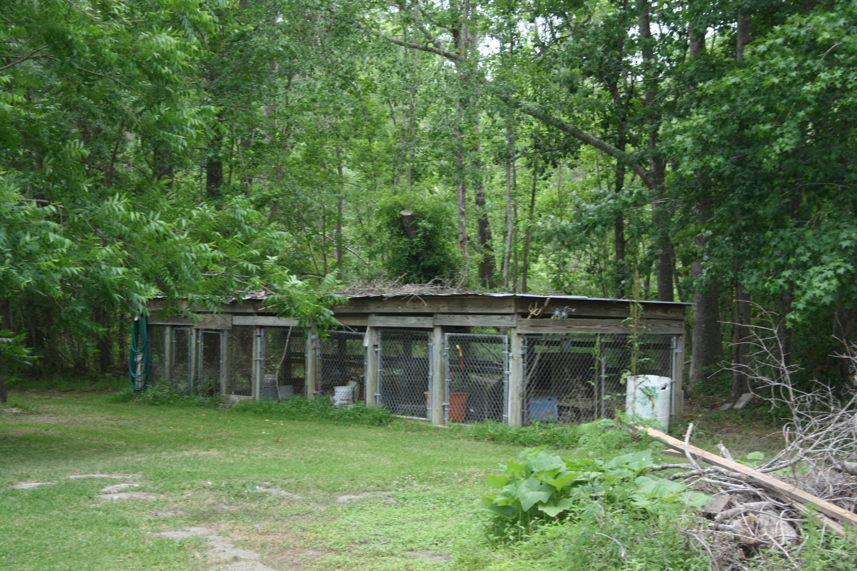 783 Peirce Road Cottageville, SC 29435 - Photo 10 of 24 IMG_0089