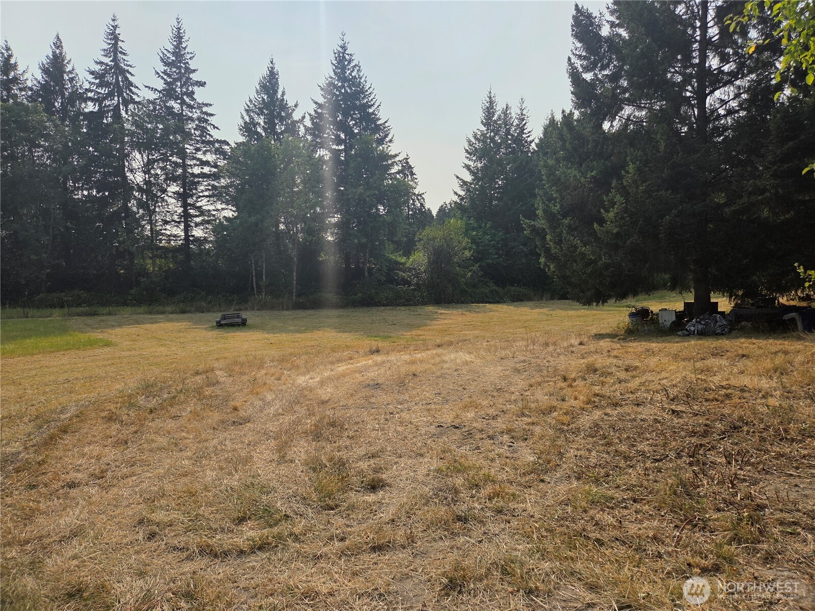 a view of outdoor space with swimming pool and trees