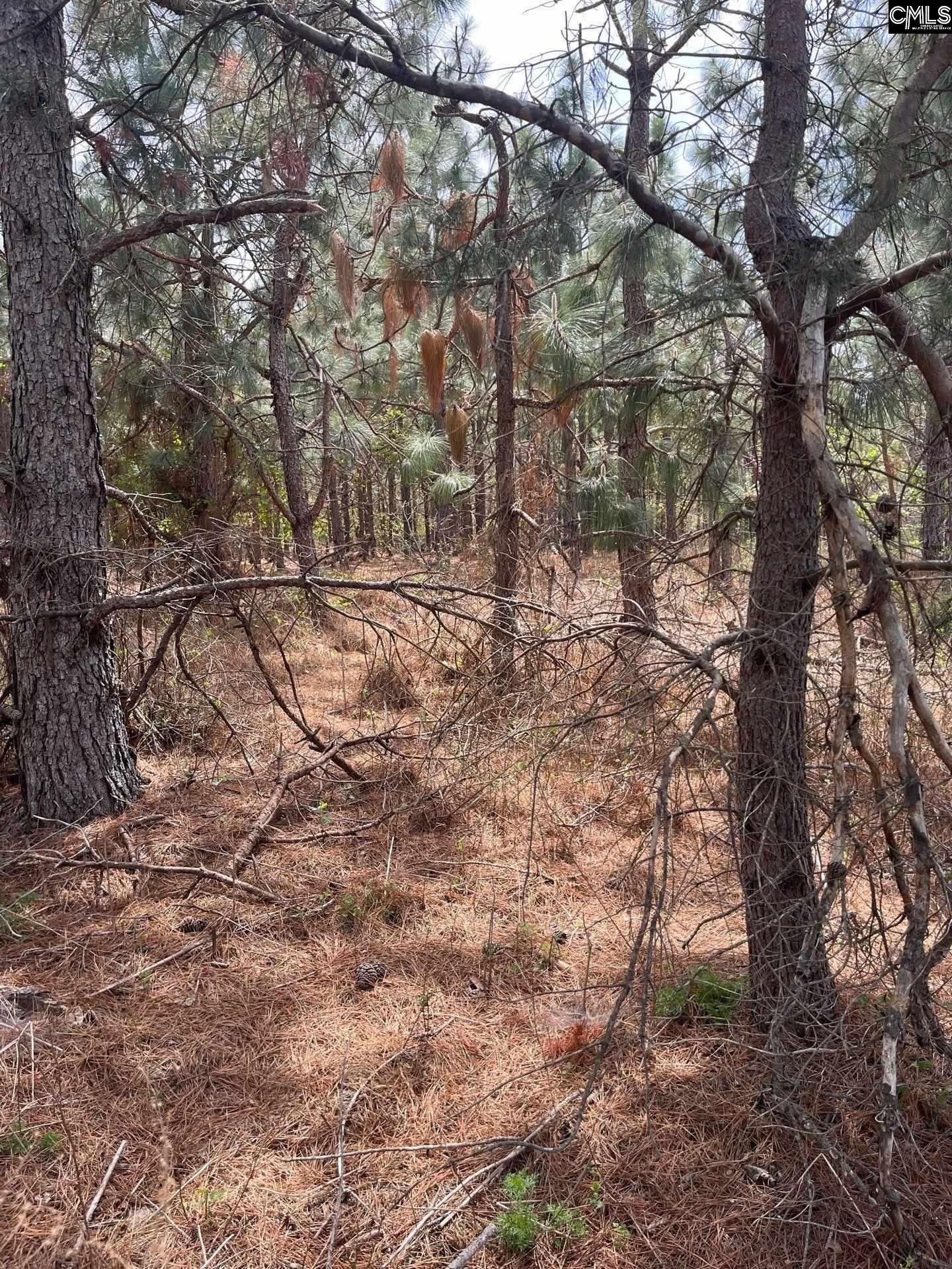 7 Beaver Dam Road Cassatt, SC 29032 - Photo 2 of 4