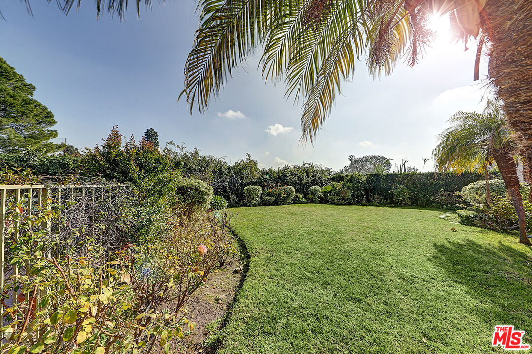 322 North June Street Los Angeles, CA 90004 - Photo 31 of 36 a view of a yard with palm trees