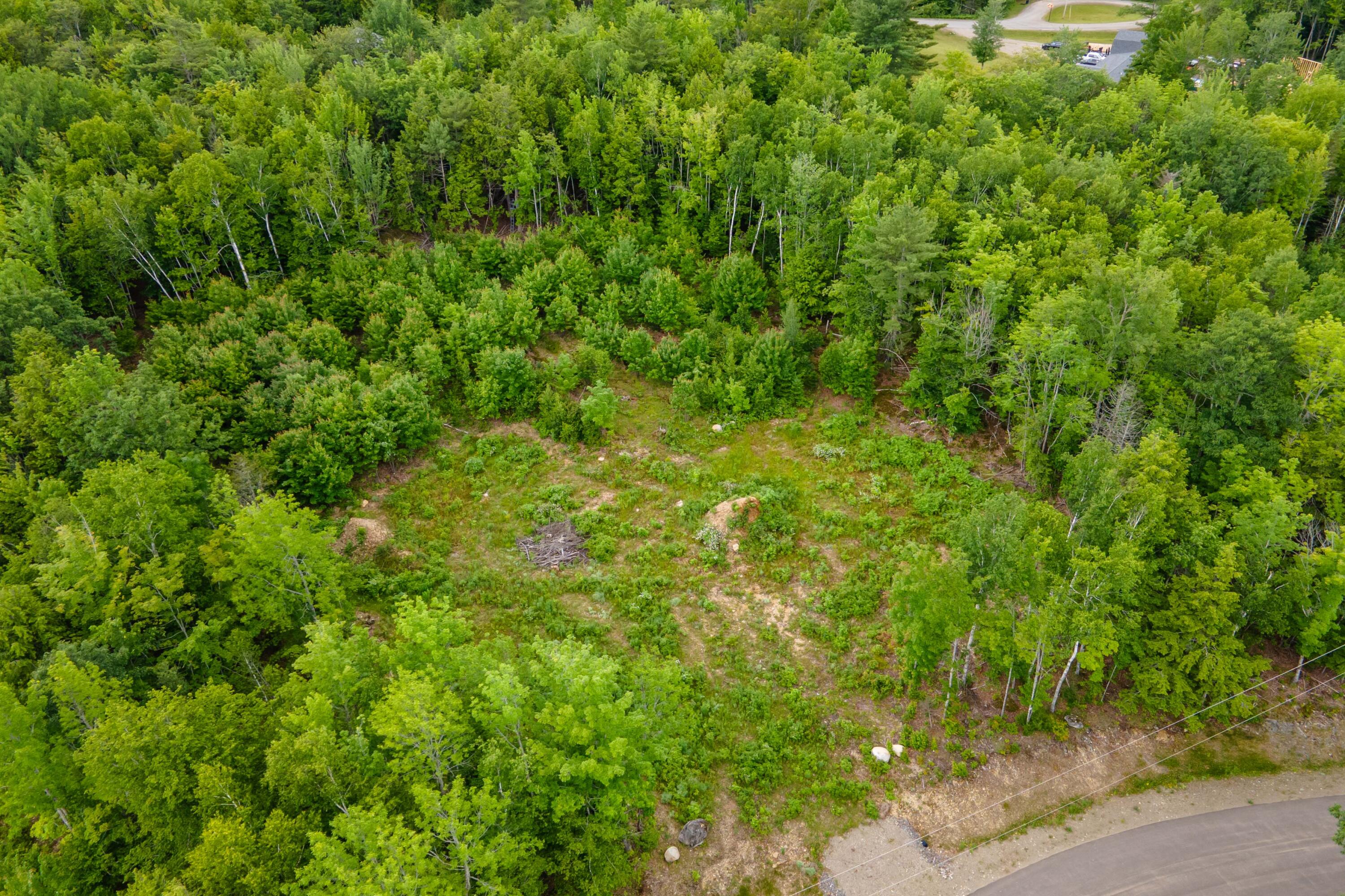82-lot16) Beaver Creek Road Carmel, ME 04419 - Photo 14 of 45 6D00A300-91D2-4708-BE64-875B648A6855