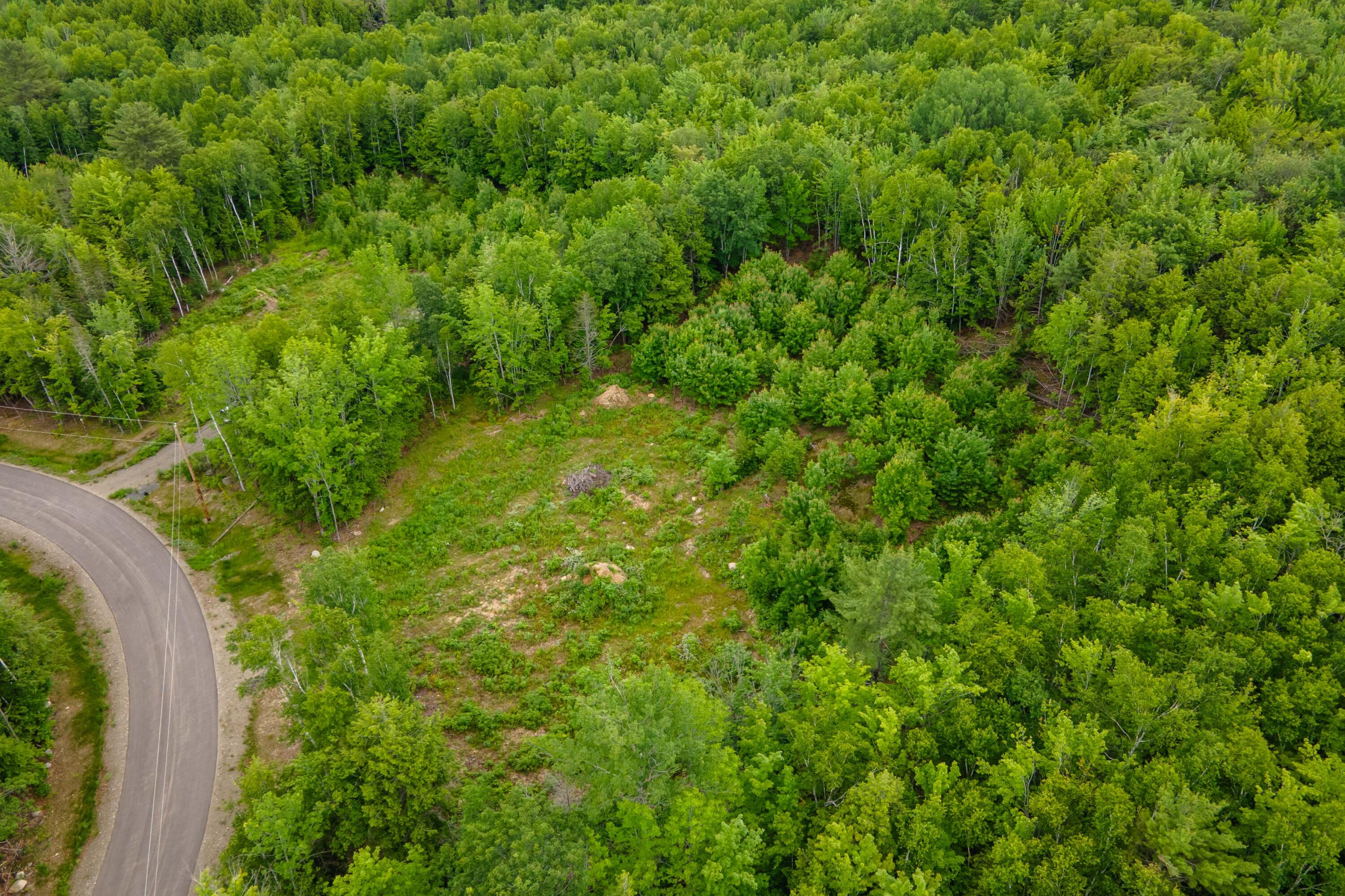 82-lot16) Beaver Creek Road Carmel, ME 04419 - Photo 15 of 45 FCFFC08A-306D-4E31-918C-F272CC674FF8