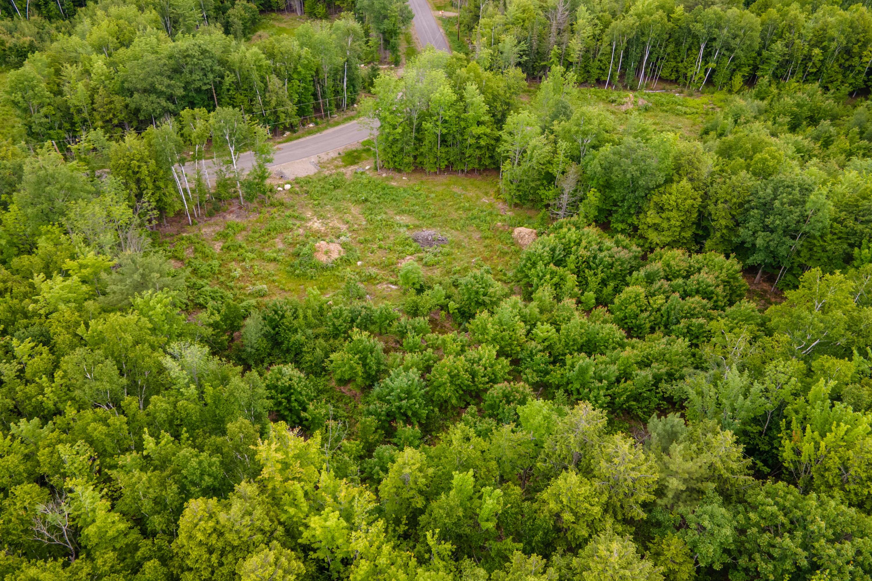 82-lot16) Beaver Creek Road Carmel, ME 04419 - Photo 16 of 45 5FA15BA4-84B2-4C51-B3D7-6EBC7C89D119