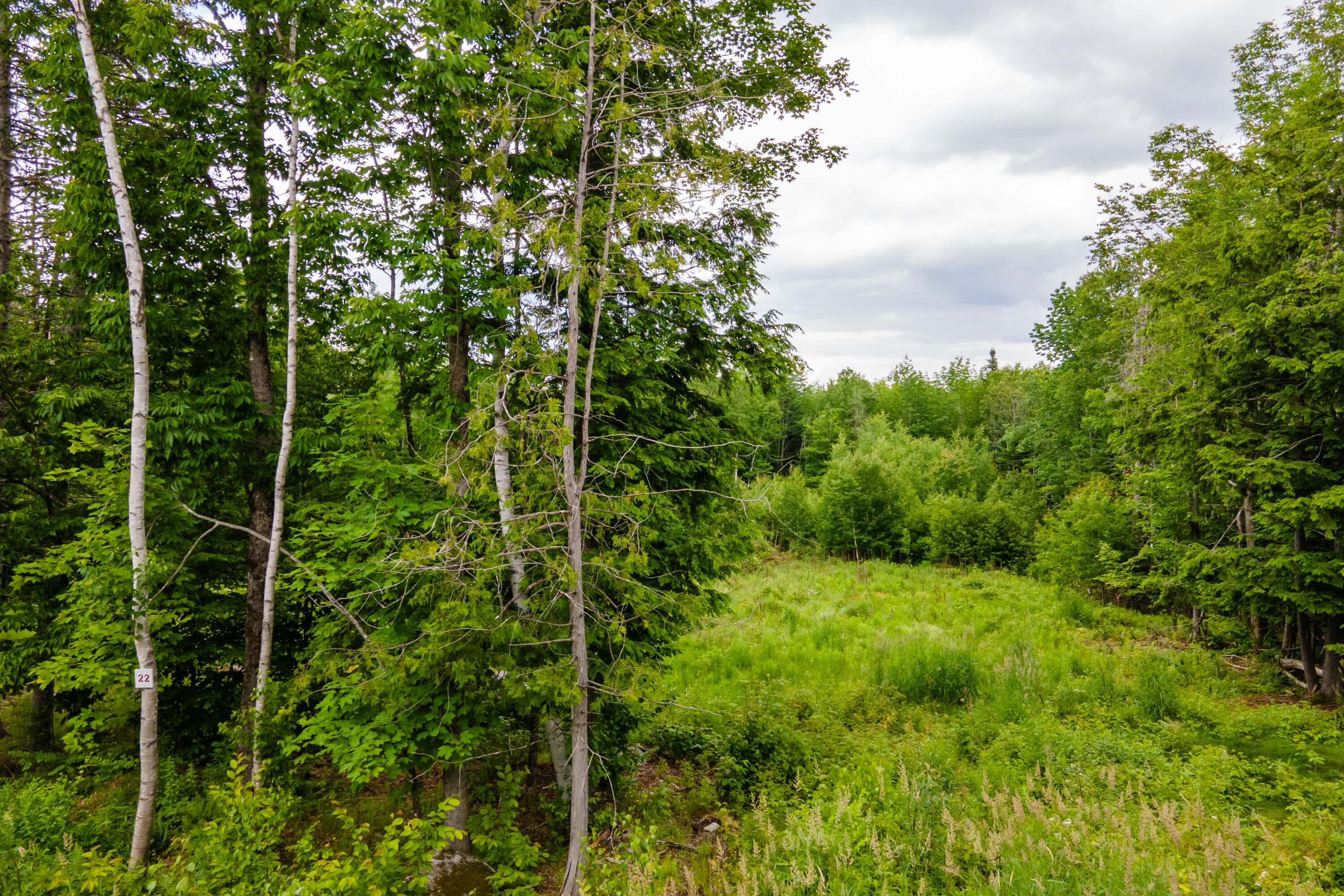 82-lot16) Beaver Creek Road Carmel, ME 04419 - Photo 18 of 45 84A45C8E-82AC-442A-B5AF-CC88AEF532A8