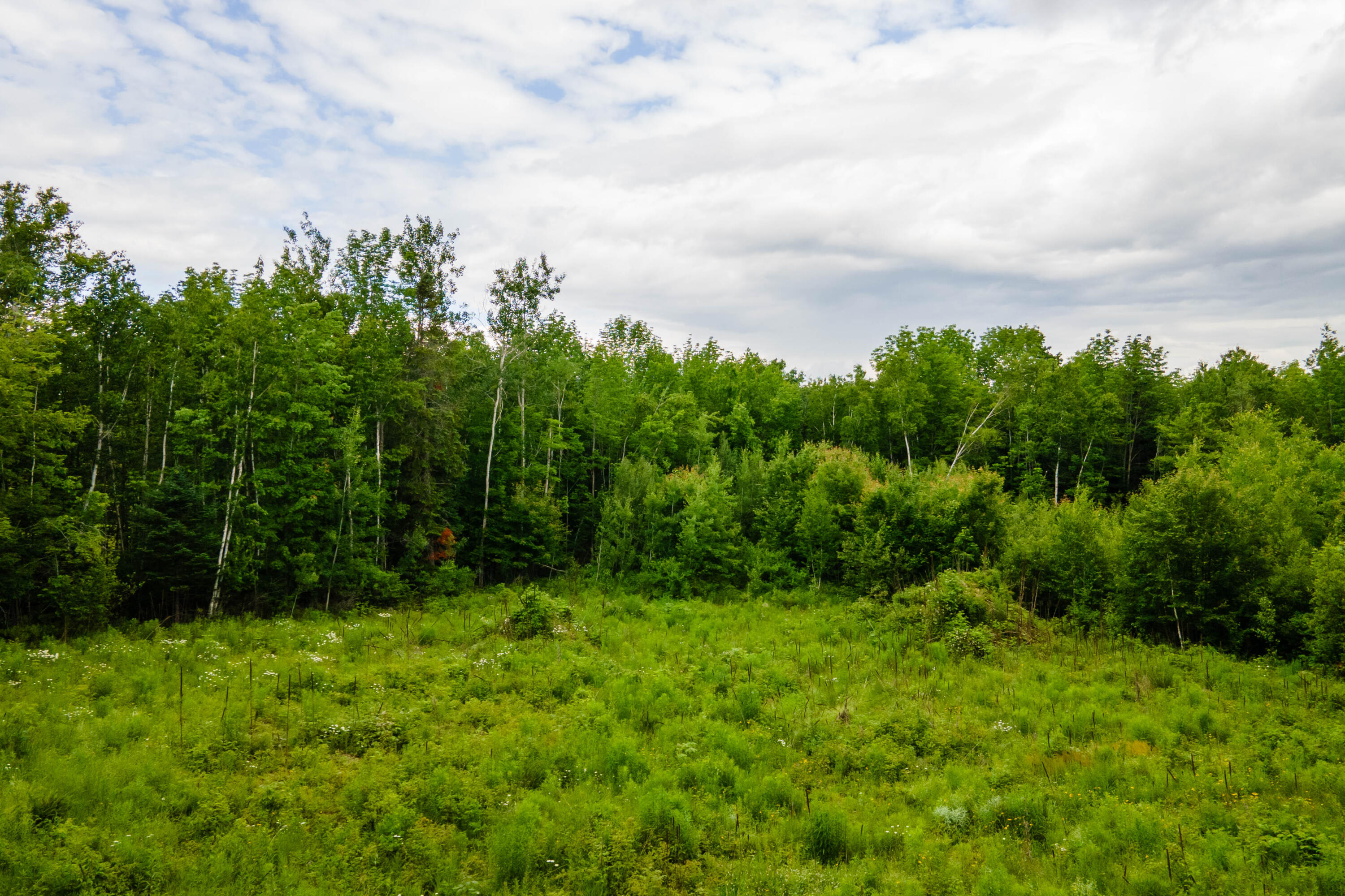82-lot16) Beaver Creek Road Carmel, ME 04419 - Photo 19 of 45 C44B13C4-D3C7-47DC-AFFA-75181D299EA0