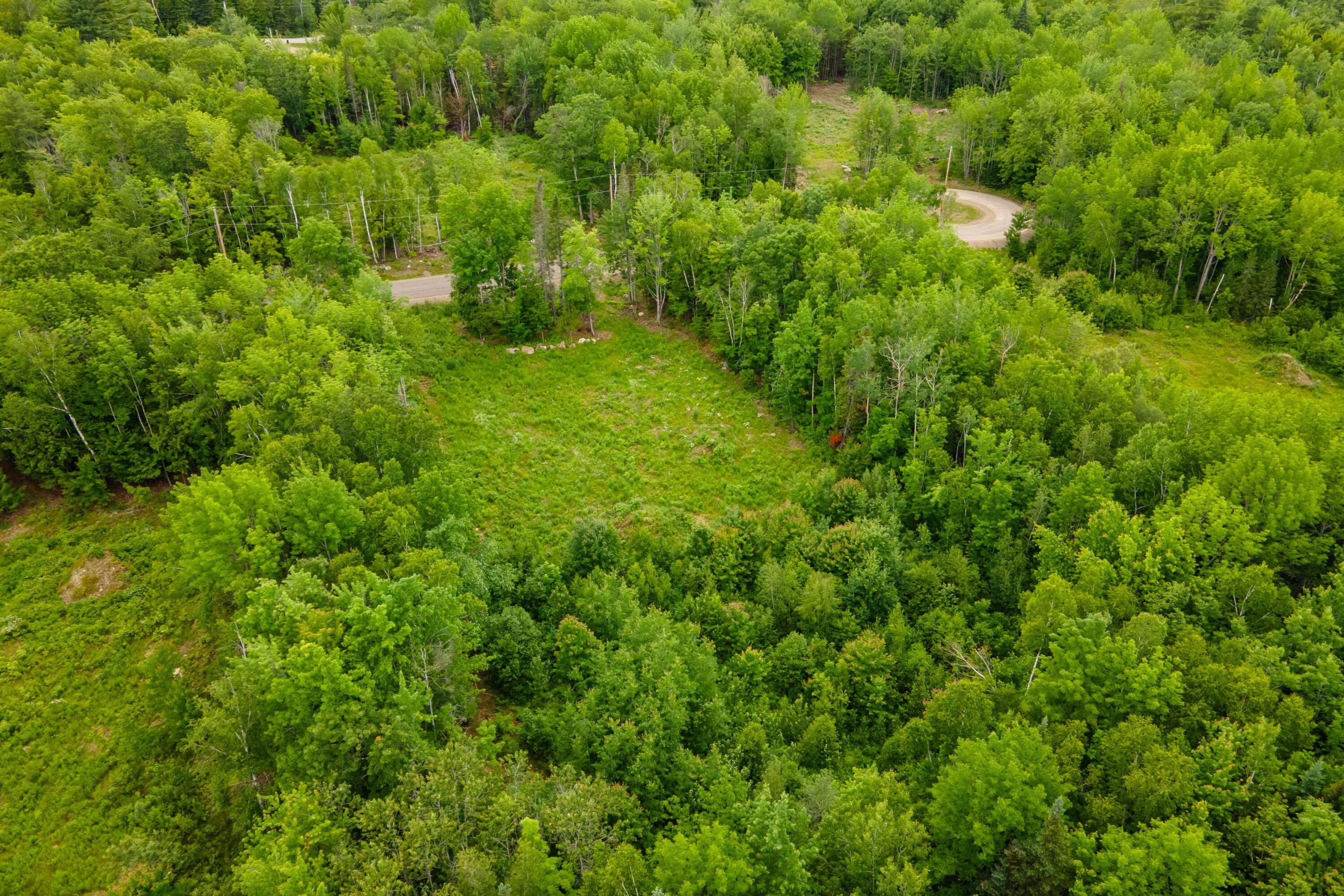 82-lot16) Beaver Creek Road Carmel, ME 04419 - Photo 20 of 45 9E8EE878-83F7-4109-A331-BC4EA2CCC956
