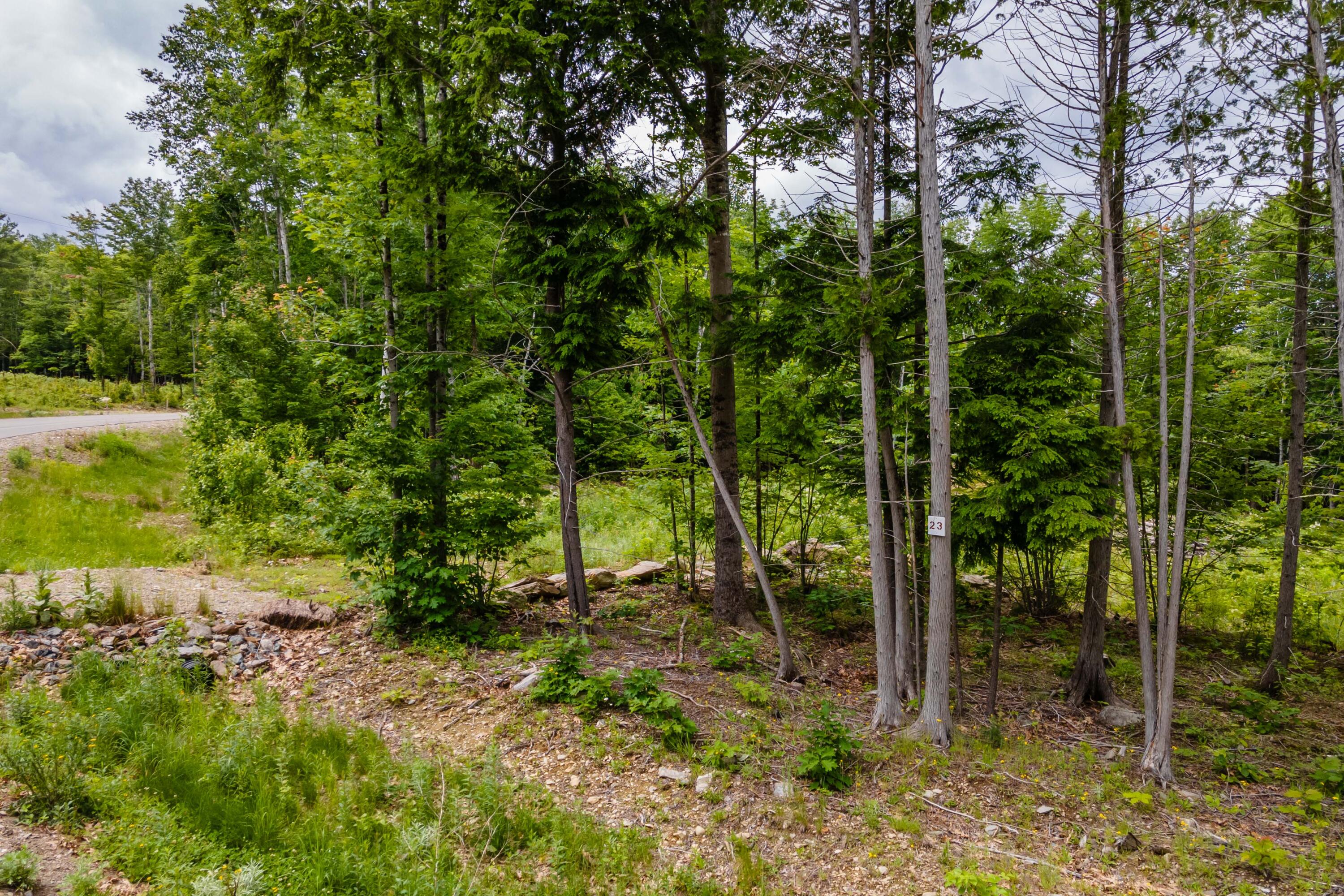 82-lot16) Beaver Creek Road Carmel, ME 04419 - Photo 2 of 45 CE159EED-979B-4251-ABFA-A1056BBDA8D5