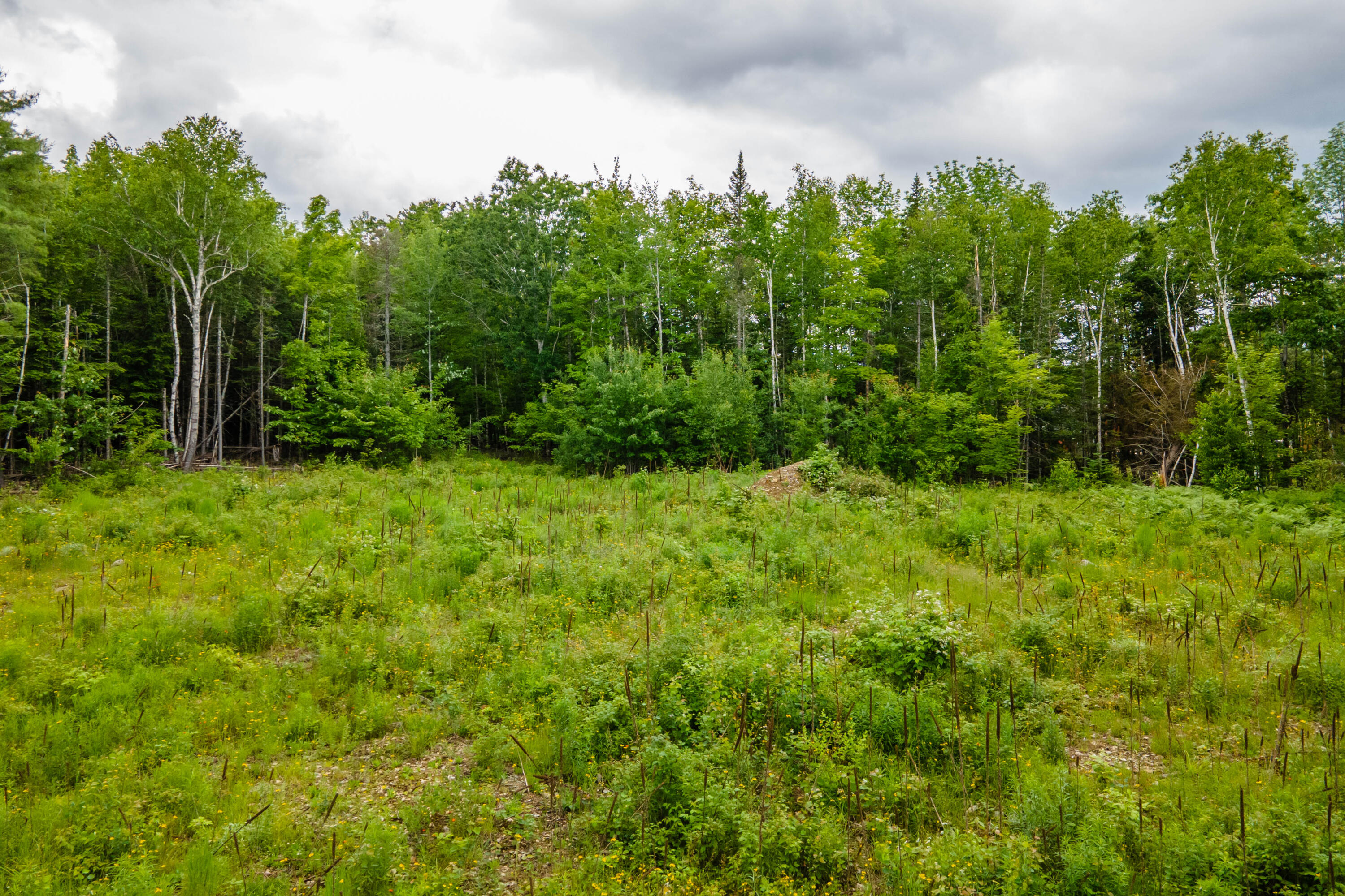 82-lot16) Beaver Creek Road Carmel, ME 04419 - Photo 24 of 45 F01E7FBB-281E-444C-A3C9-F980A9CF06DB