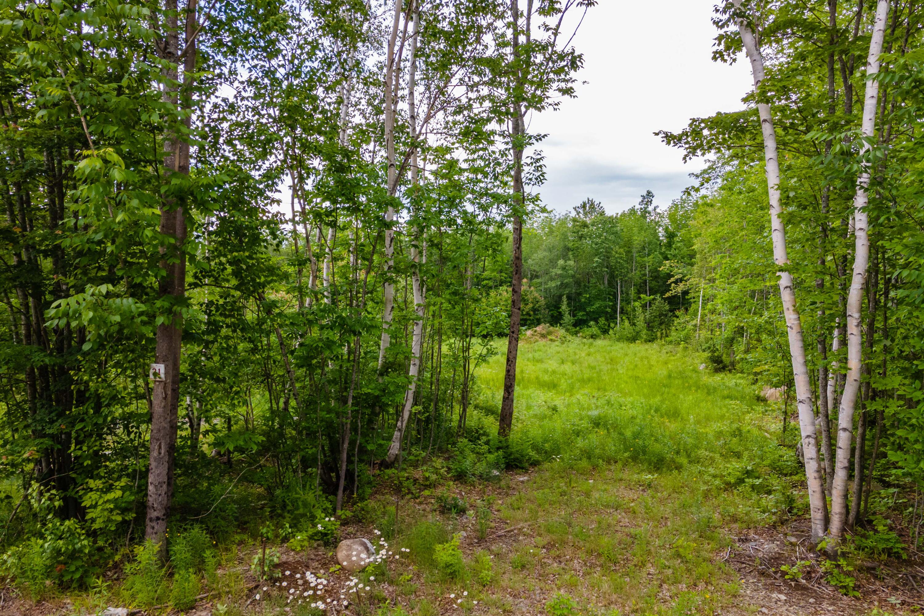 82-lot16) Beaver Creek Road Carmel, ME 04419 - Photo 27 of 45 70FB46A5-5226-47BD-99B9-58DE758B52F1