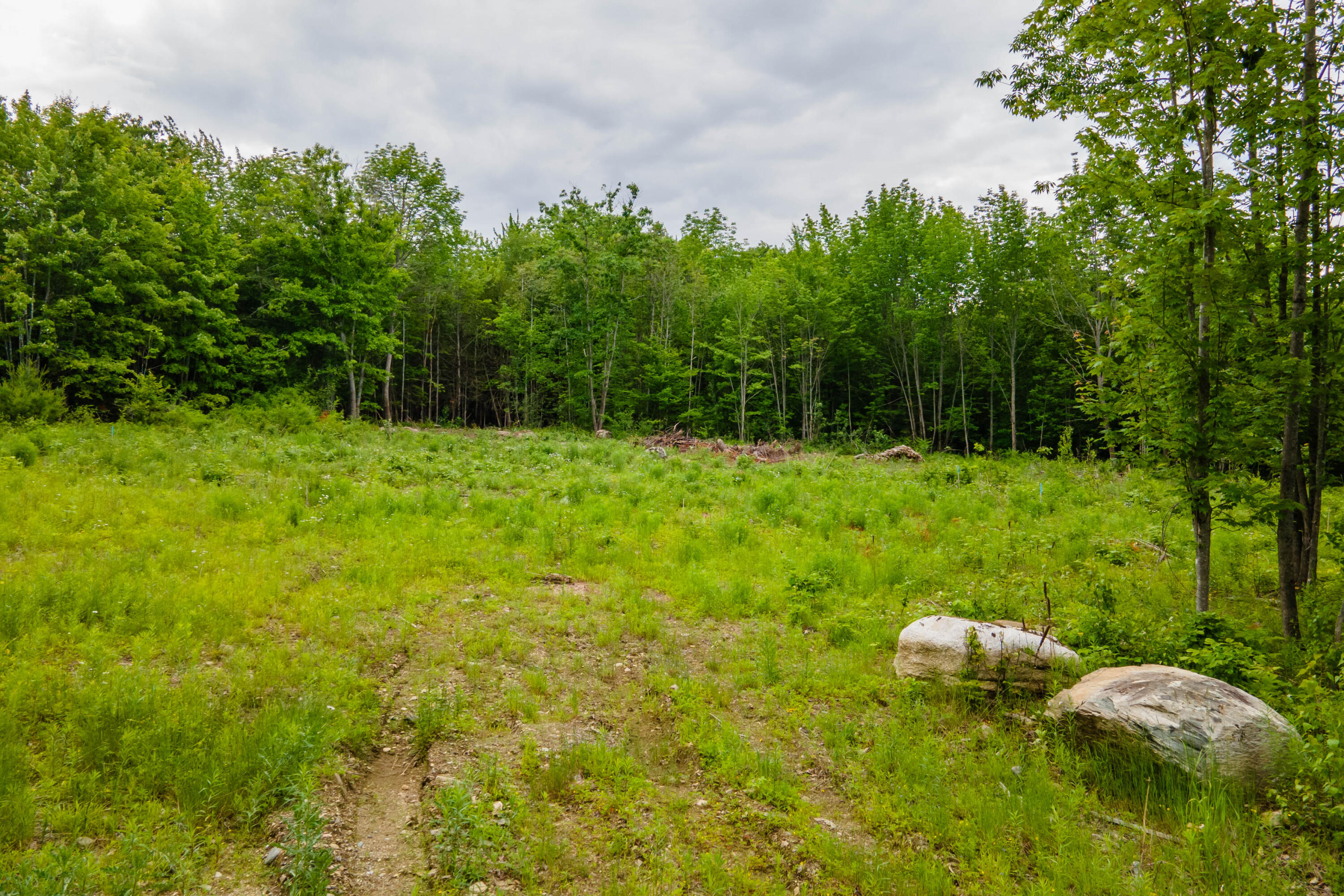 82-lot16) Beaver Creek Road Carmel, ME 04419 - Photo 34 of 45 EF0CA5D4-AD42-43F7-A2E3-C969E8567F3C