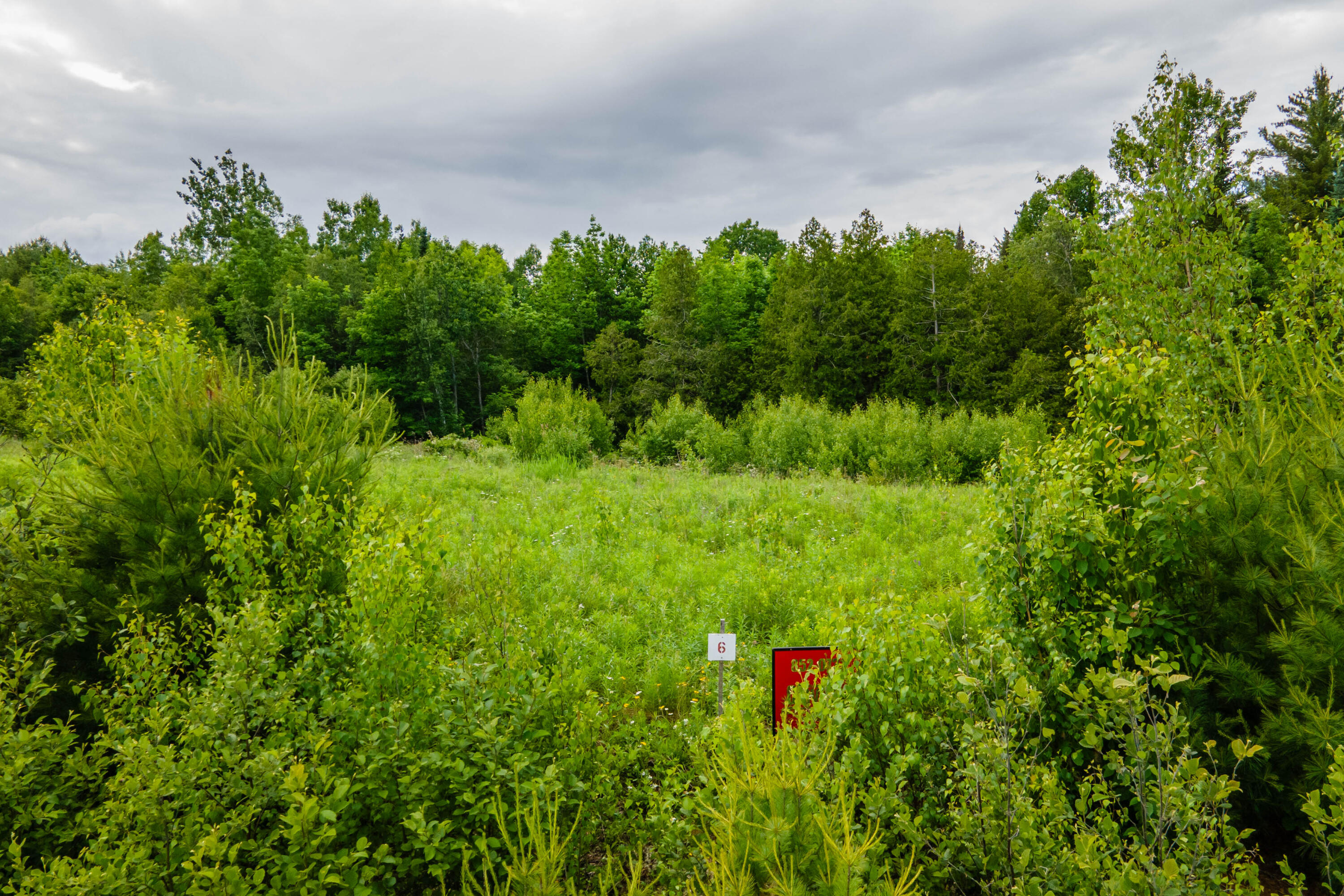 82-lot16) Beaver Creek Road Carmel, ME 04419 - Photo 40 of 45 8798E3A8-E001-4353-A1C3-E1D2DA26DD28