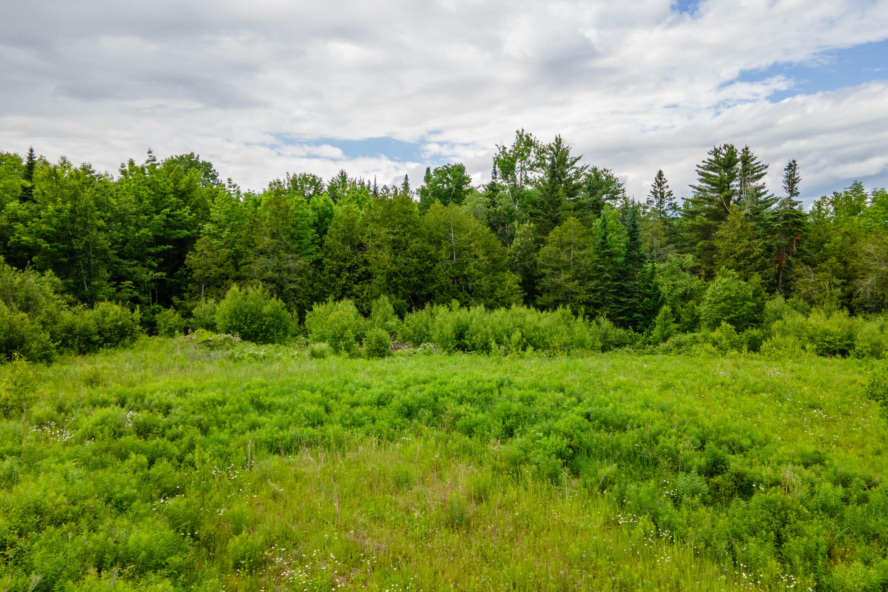 82-lot16) Beaver Creek Road Carmel, ME 04419 - Photo 41 of 45 E8C2EC38-AADA-4A67-A619-9C2AB9C2D982