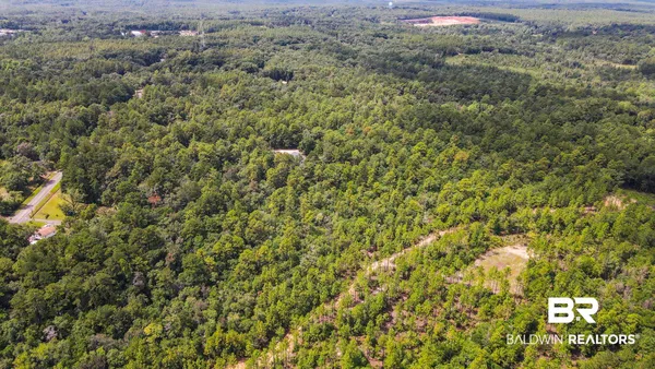 $175,000 | 0 Mt.Pilgrim Road, Eight Mile, AL 36613