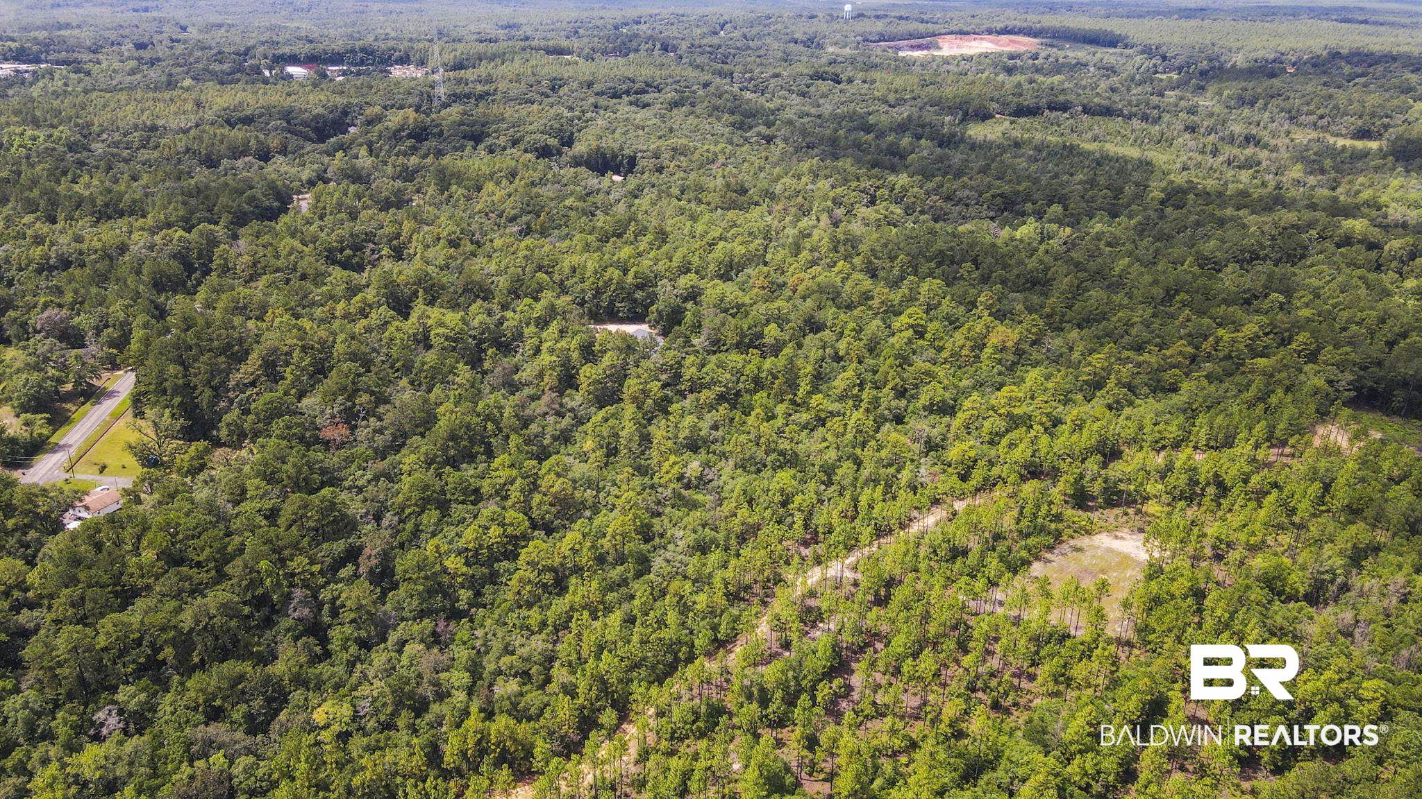 0 Mt.Pilgrim Road Eight Mile, AL 36613 - Photo 1 of 14 Bird's eye view