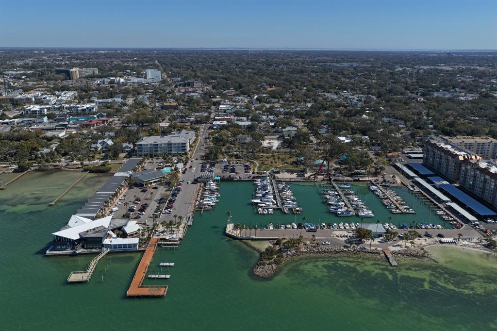 240 President Street Dunedin, FL 34698 - Photo 12 of 19