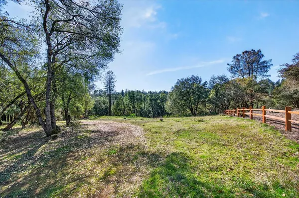 a view of a yard with trees in the background