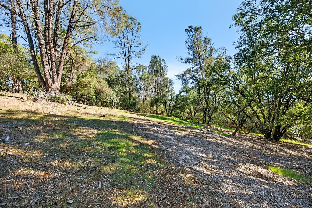 1 Cuckoo Court Applegate, CA 95703 - Photo 12 of 20 a view of a yard with plants and trees