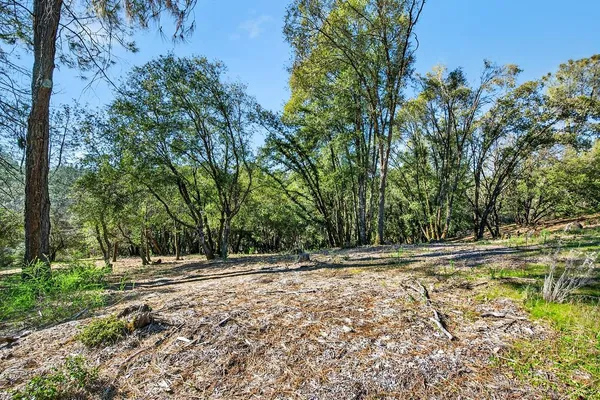 a view of outdoor space with deck and yard