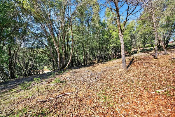 a backyard of a house with large trees