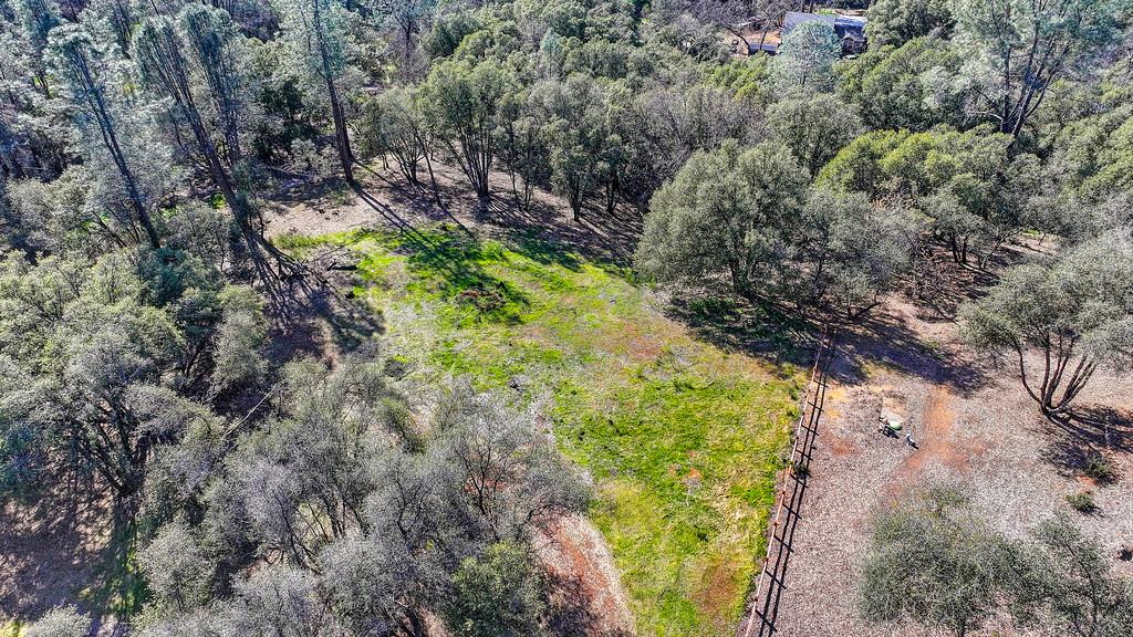 1 Cuckoo Court Applegate, CA 95703 - Photo 16 of 20 a view of a yard with plants and large trees
