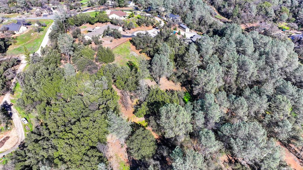 1 Cuckoo Court Applegate, CA 95703 - Photo 18 of 20