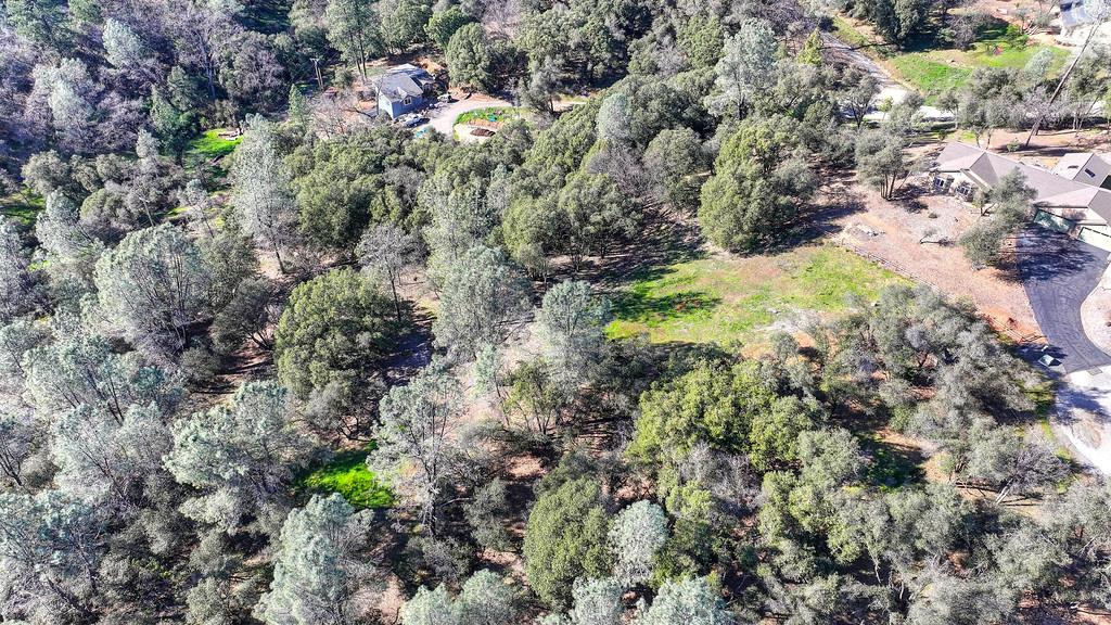 1 Cuckoo Court Applegate, CA 95703 - Photo 19 of 20 a view of a garden with plants