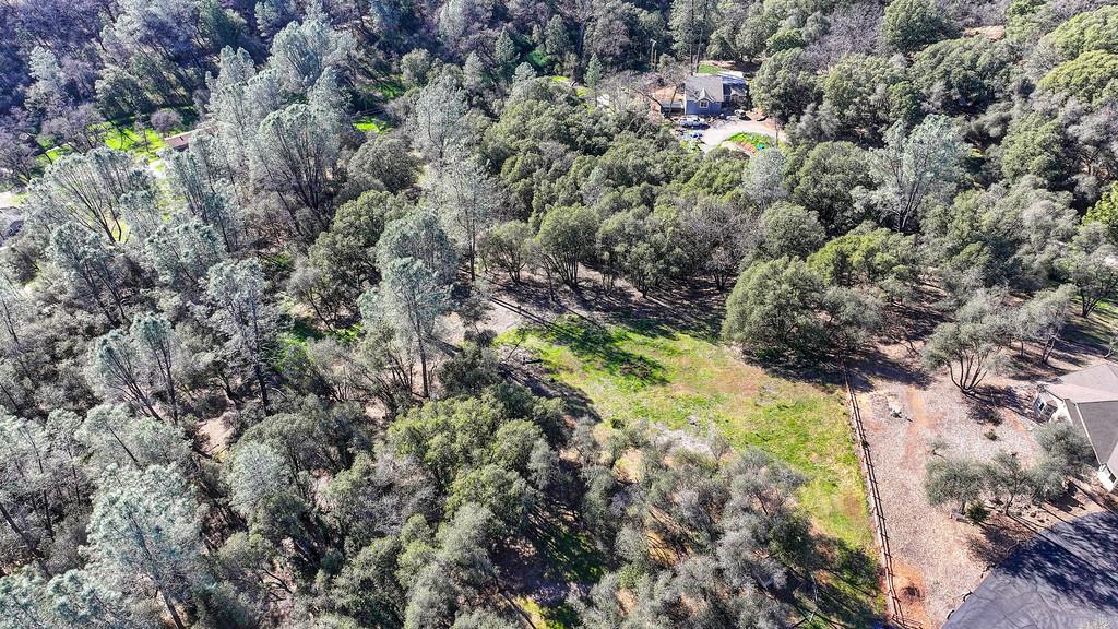 1 Cuckoo Court Applegate, CA 95703 - Photo 20 of 20 a view of a forest with a tree