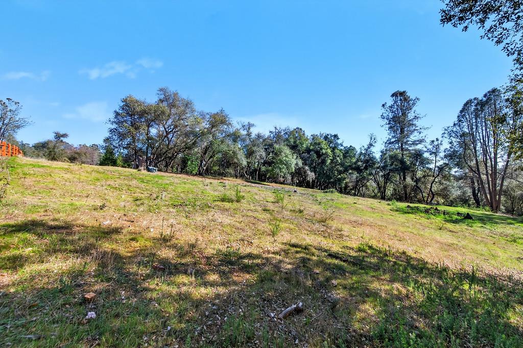 1 Cuckoo Court Applegate, CA 95703 - Photo 4 of 20 a view of a yard with a tree