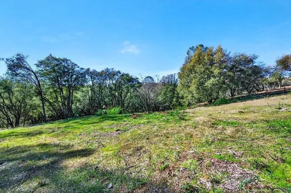 a yard with a house in the background