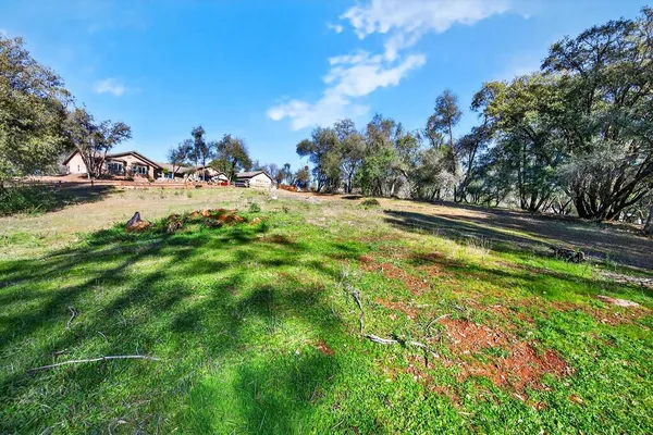 a view of a backyard of the house