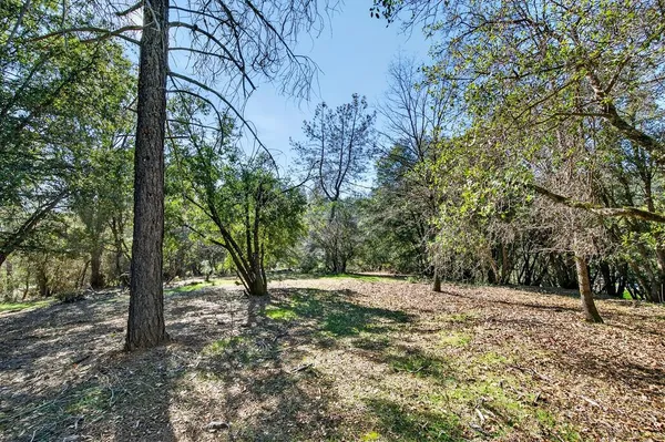 a view of outdoor space with trees