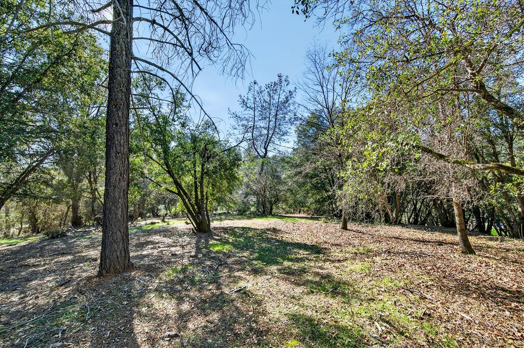 1 Cuckoo Court Applegate, CA 95703 - Photo 9 of 20 a view of outdoor space with trees