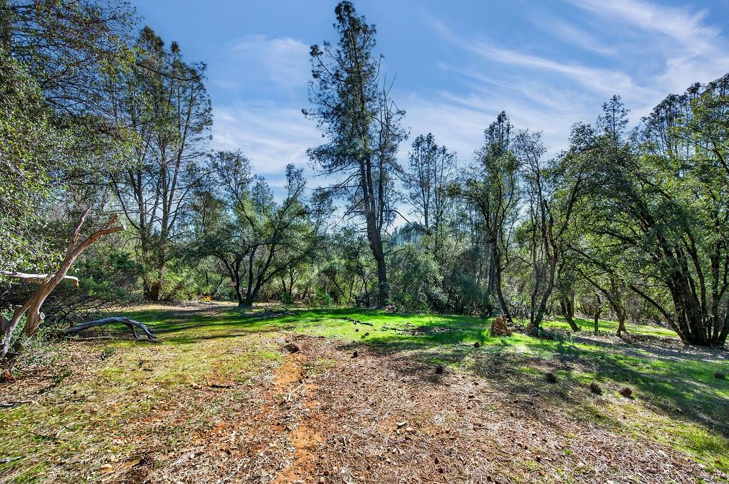 1 Cuckoo Court Applegate, CA 95703 - Photo 10 of 20 a view of a park