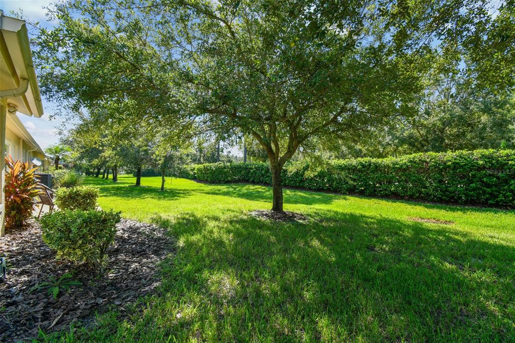 12202 Aaron Terrace Trinity, FL 34655 - Photo 30 of 41 a view of a trees with a yard