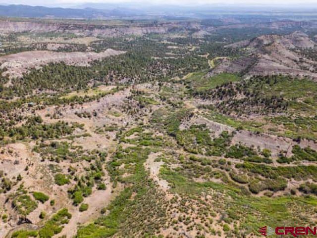 1350 Lion Road Durango, CO 81303 - Photo 15 of 34