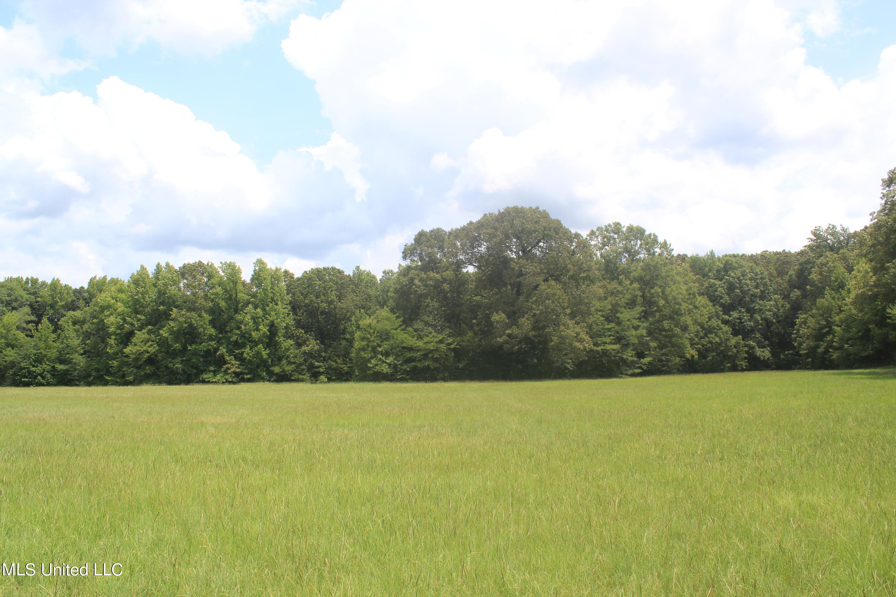 5 Victoria Road Holly Springs, MS 38635 - Photo 20 of 57 IMG_8777