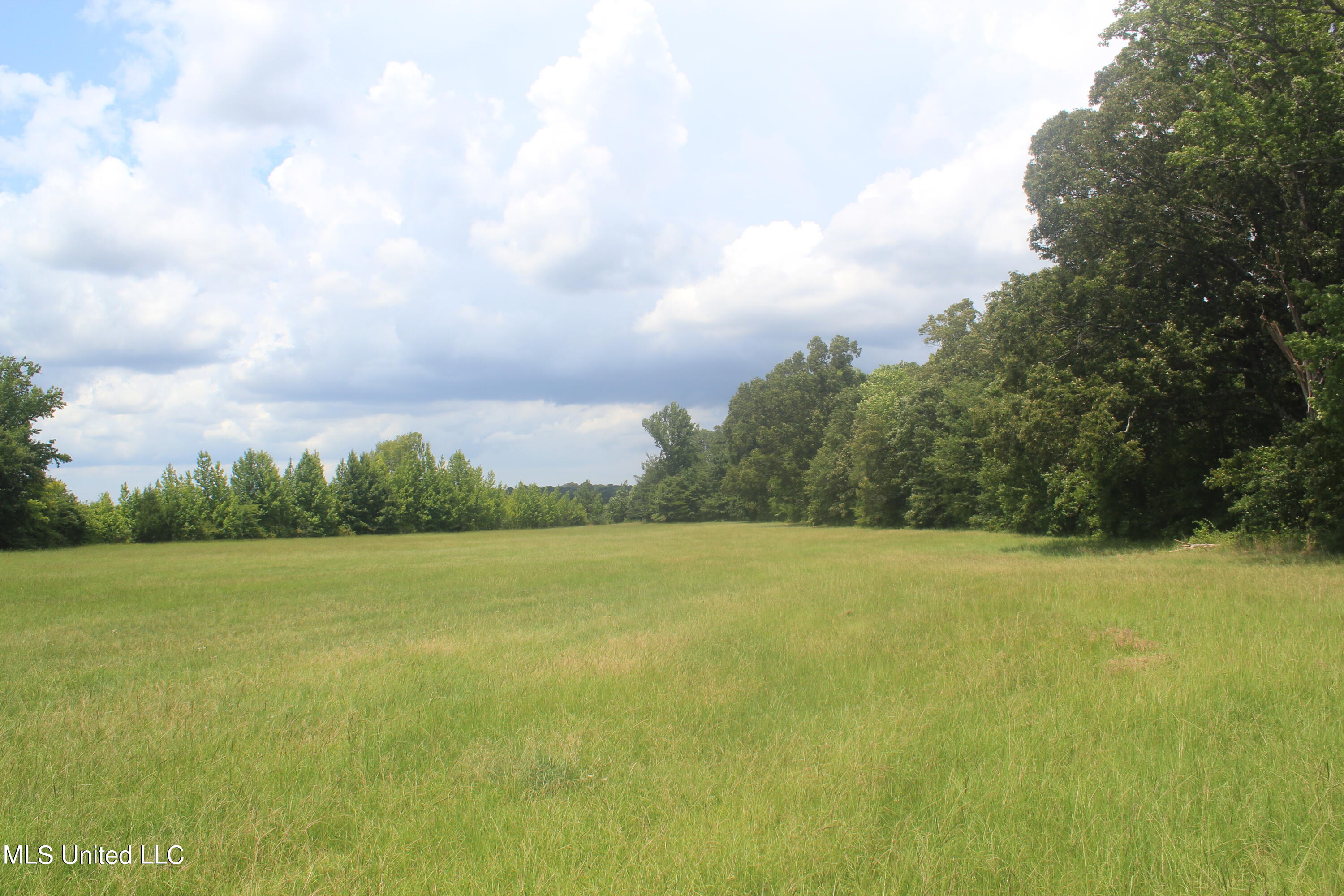 5 Victoria Road Holly Springs, MS 38635 - Photo 28 of 57 IMG_8785