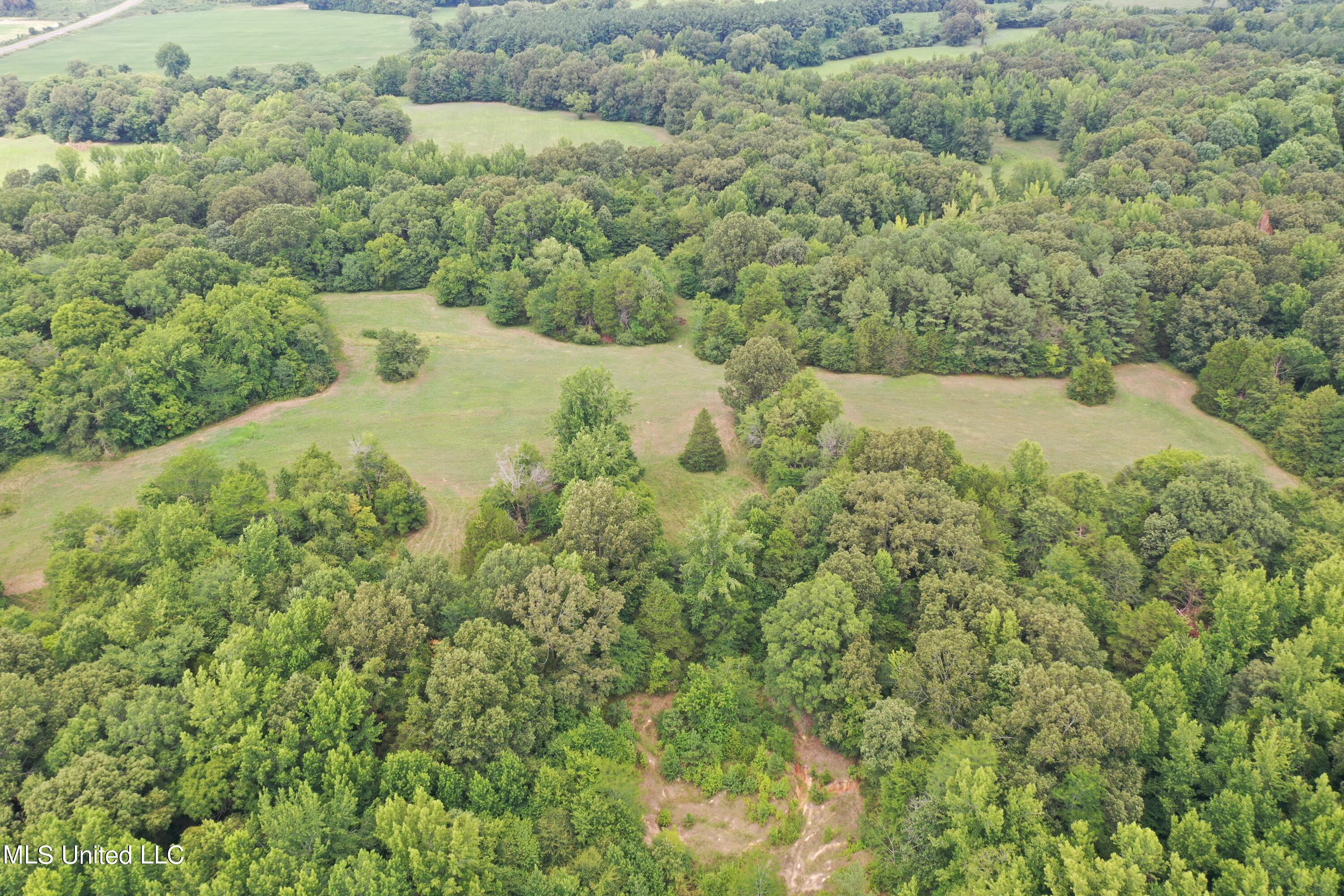 5 Victoria Road Holly Springs, MS 38635 - Photo 8 of 57 DJI_0735