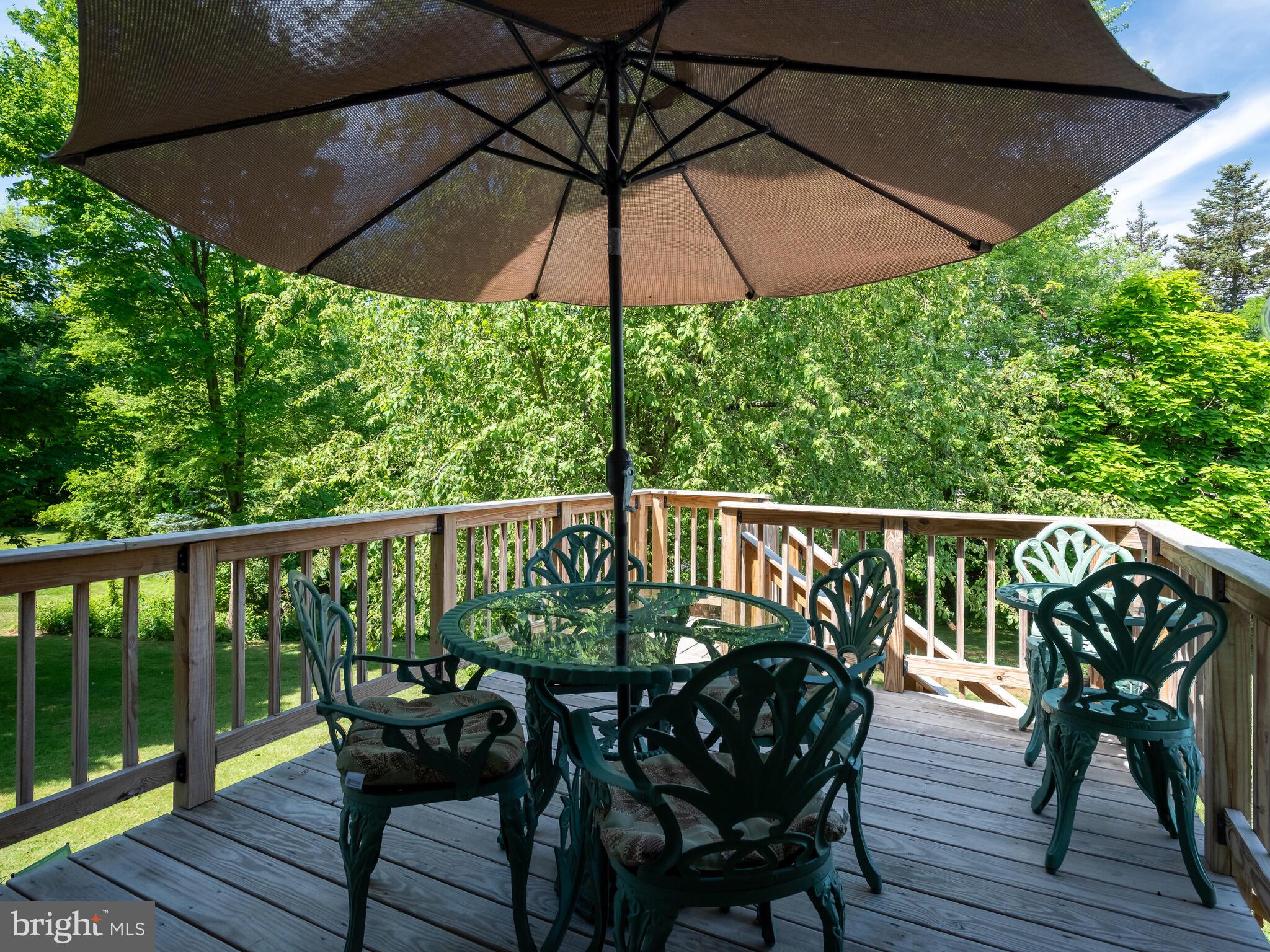 1205 South Rapps Dam Road Phoenixville, PA 19460 - Photo 35 of 42 Rear Deck with Stairway