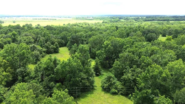 $115,164 | 1 Cr 2065 Crockett Tx 75835, Crockett, TX 75835