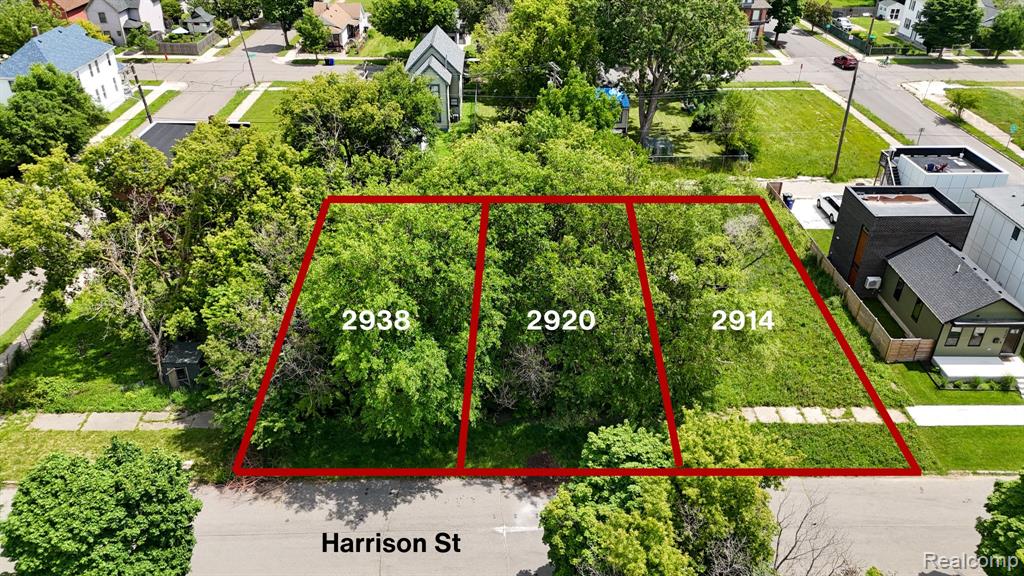 2914 Harrison Street Detroit, MI 48216 - Photo 4 of 4