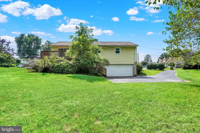 a view of a backyard with large trees