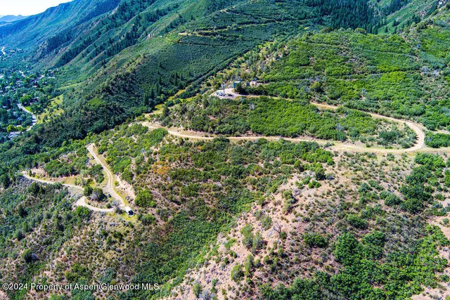 a view of a lush green forest with a mountain in the background