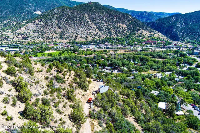 a view of a backyard with plants