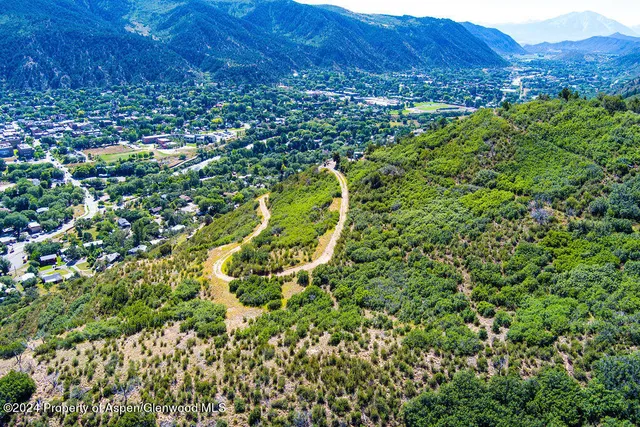 a view of a bunch of trees and bushes