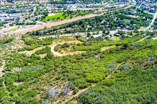 a view of a garden with a tree