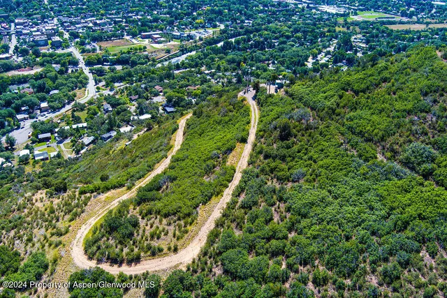 a view of a lush green forest with lots of trees
