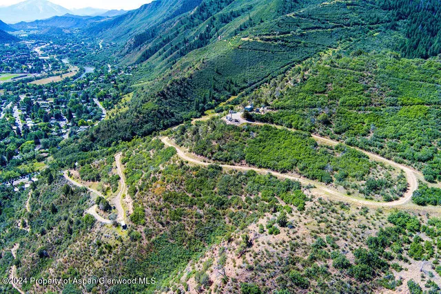 a view of a lush green forest with lots of trees