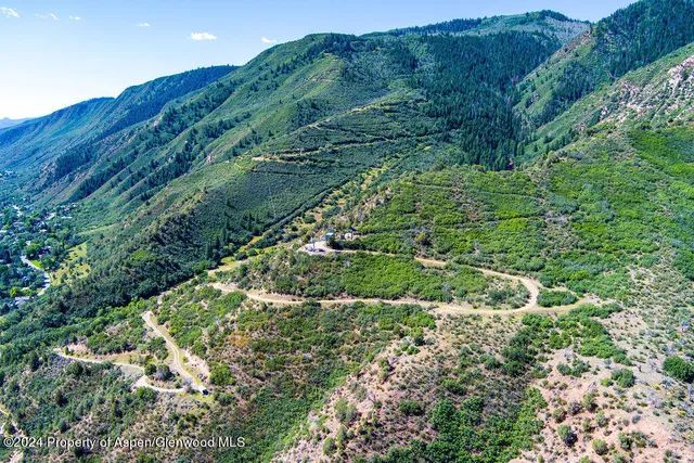 a view of a large tree with a yard